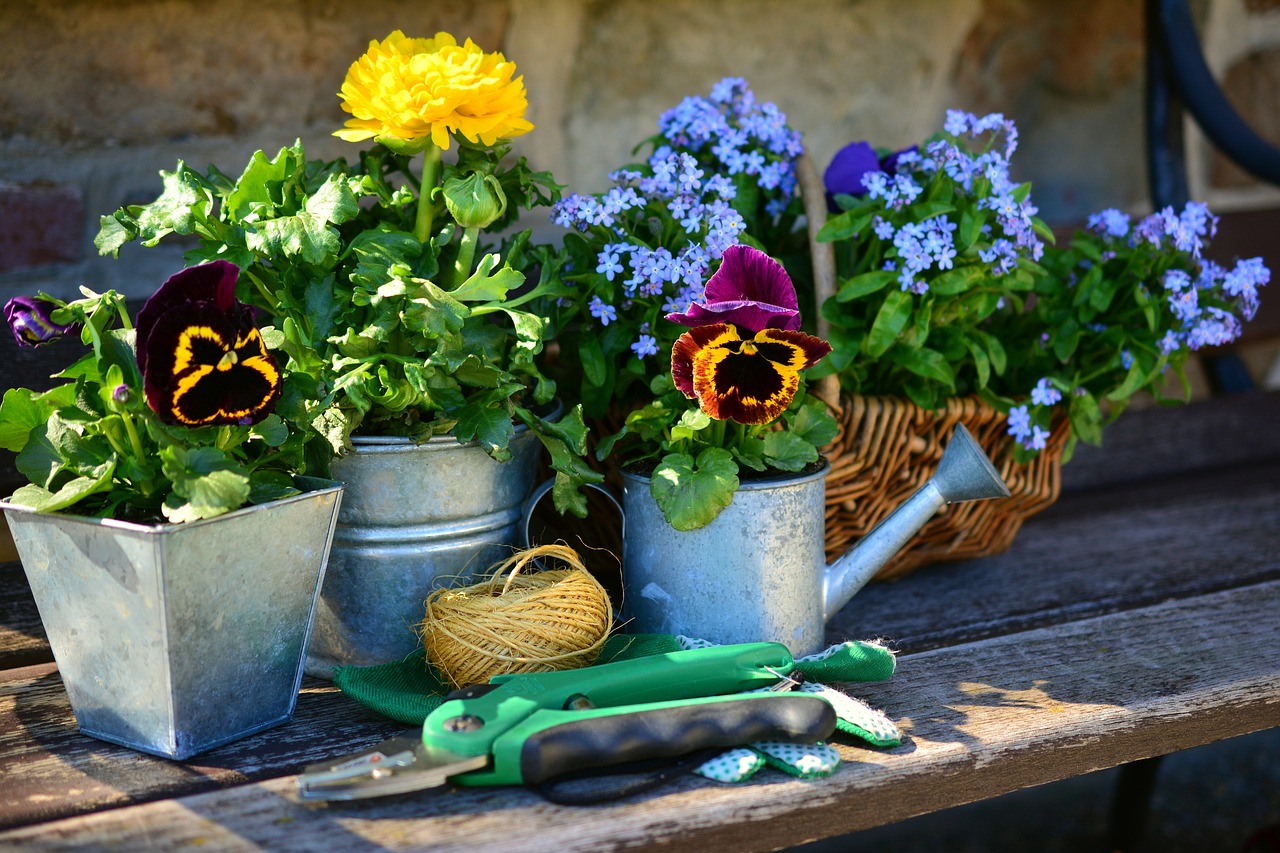 Homemade Plant Pots from Recycled Materials